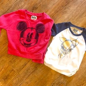 Disney Artist collection sweatshirt and raglan tee